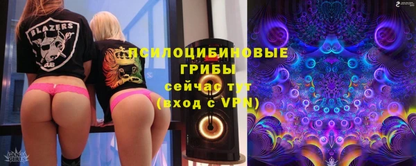 крисы Балахна