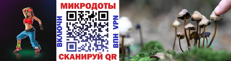 Псилоцибиновые грибы GOLDEN TEACHER  Озёрск 